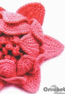 Beautiful red crochet peony flower preview