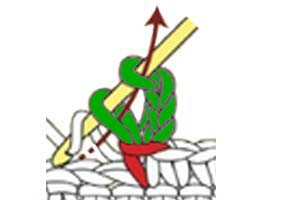 chain 3 sc picot - step 3