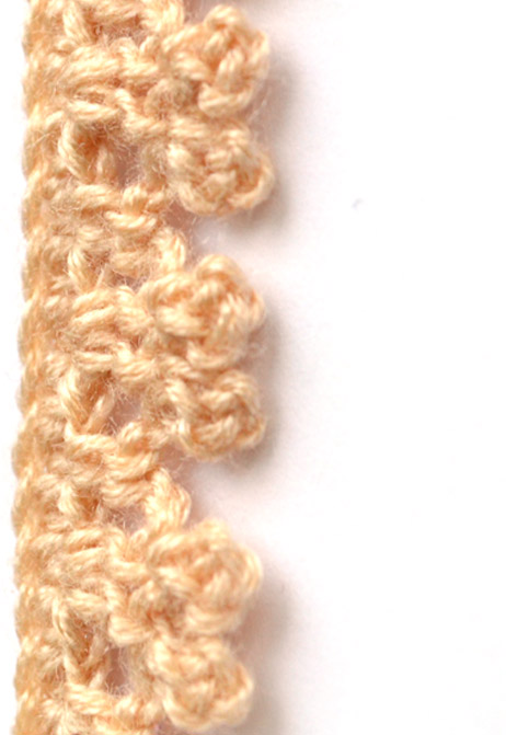 brown crochet edging with picot - preview