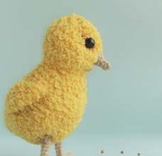 little chicken - preview