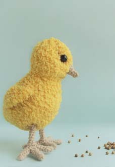 little chicken - preview