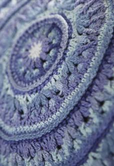 atlanticus CAL photo