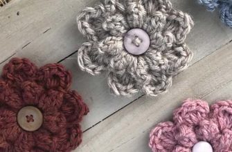 autumn berry flower photo