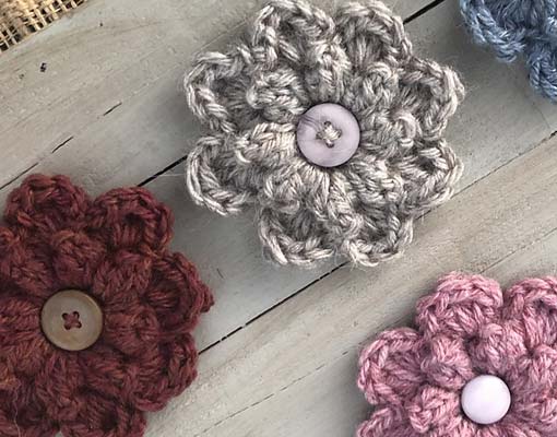 autumn berry flower photo