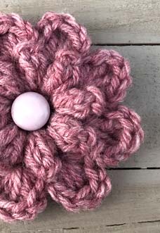 autumn berry flower preview