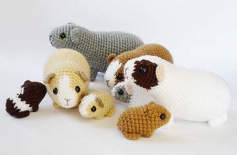 newborn guinea pig - photo