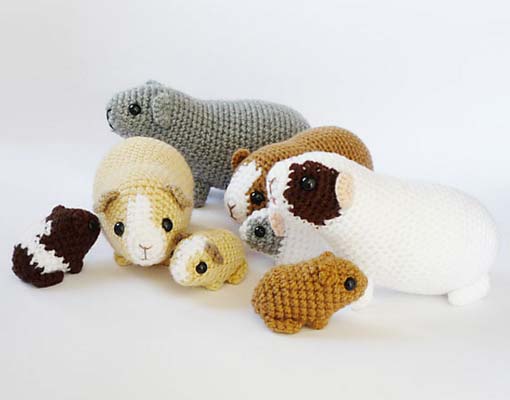 newborn guinea pig - photo